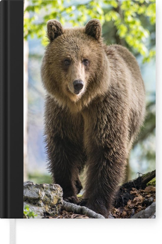 Carnet - Carnet d'écriture - Ours - Marron - Forêt - Carnet - Format A5 - Bloc-notes