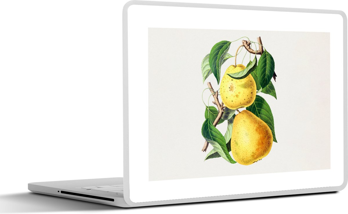 Laptop sticker - 15.6 inch - Peren - Plant - Eten - 36x27,5cm - Laptopstickers - Laptop skin - Cover