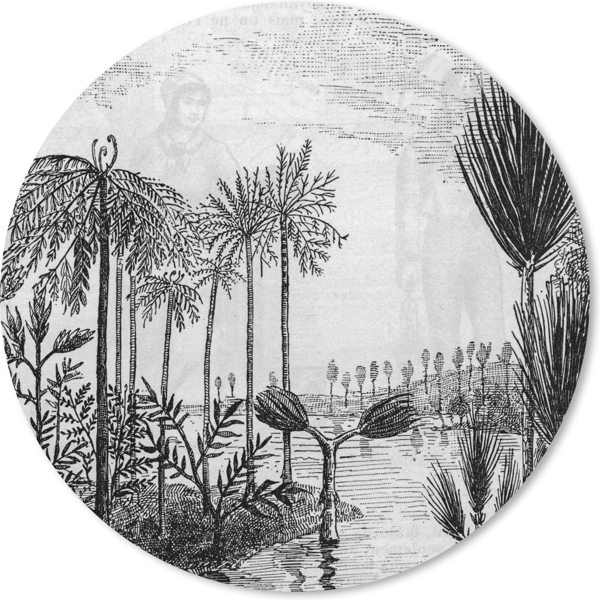 Muismat rond 30x30 cm - Mousepad Design - Bomen - Water - Natuur - Ronde muismatten