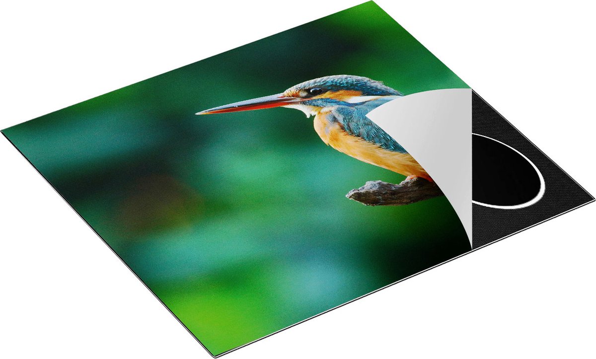 Chefcare Inductie Beschermer Blauw Oranje IJsvogel op een Tak - 59x51 cm - Afdekplaat Inductie - Kookplaat Beschermer - Inductie Mat