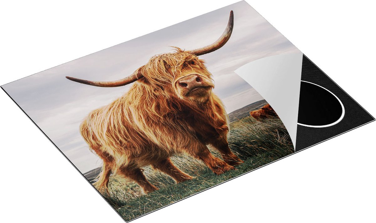 Chefcare Inductie Beschermer Schotse Hooglander Koeien in de Wei - 65x55 cm - Afdekplaat Inductie - Kookplaat Beschermer - Inductie Mat