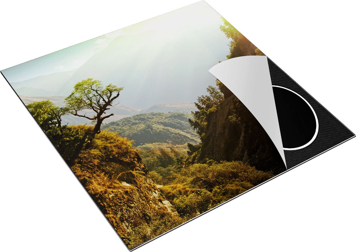 Chefcare Inductie Beschermer Bos in de Bergen met Zonneschijn - Kleur - 78x78 cm - Afdekplaat Inductie - Kookplaat Beschermer - Inductie Mat