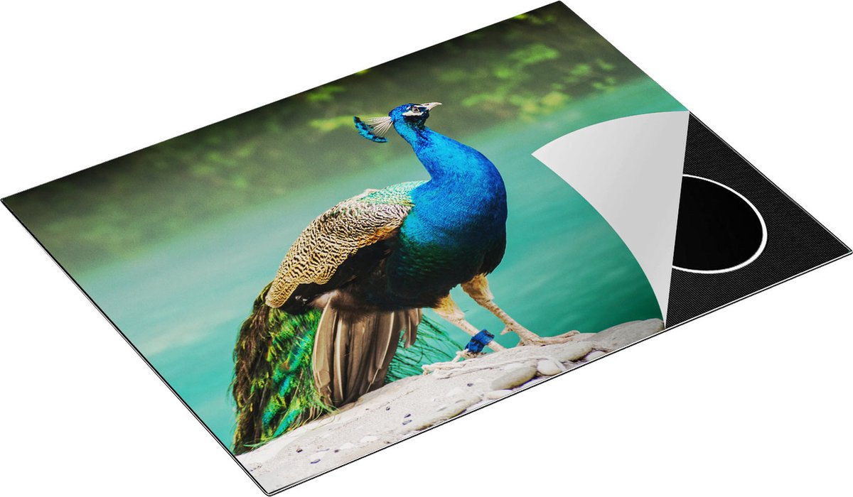 Chefcare Inductie Beschermer Kleurrijke Pauw bij het Water - 71x52 cm - Afdekplaat Inductie - Kookplaat Beschermer - Inductie Mat