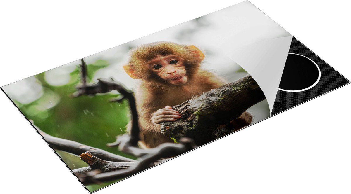 Chefcare Inductie Beschermer Klein Baby Aapje op een Tak - 90x52 cm - Afdekplaat Inductie - Kookplaat Beschermer - Inductie Mat