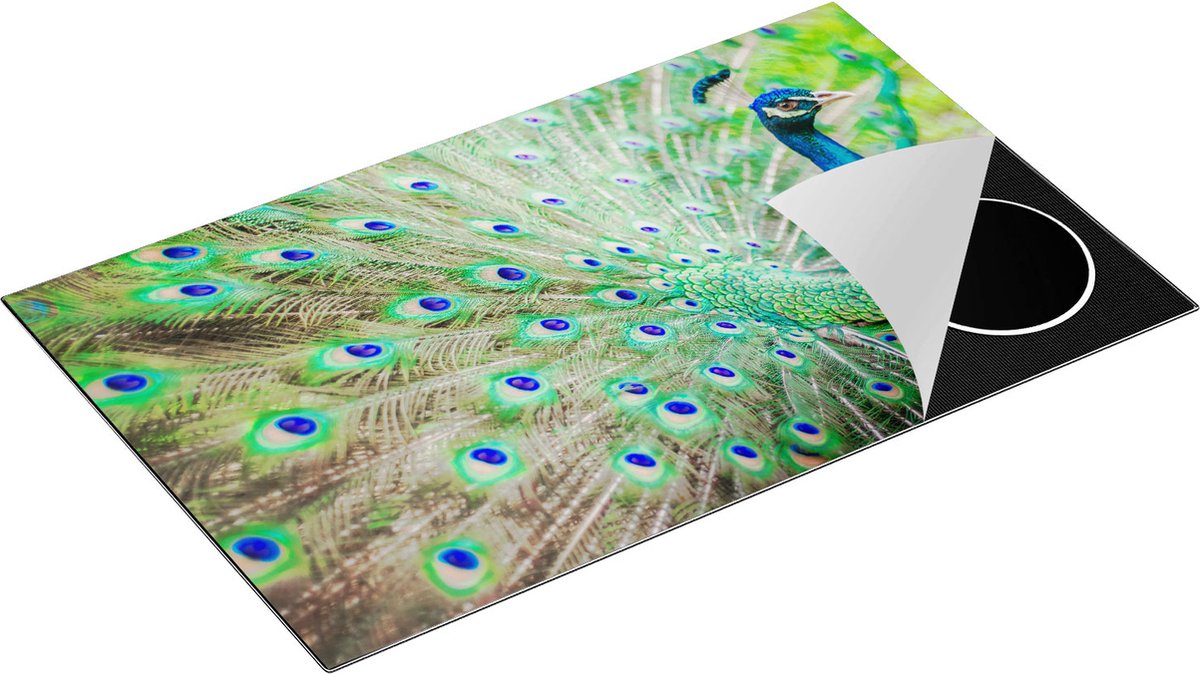 Chefcare Inductie Beschermer Pauw met Kleurrijke Veren - 85x55 cm - Afdekplaat Inductie - Kookplaat Beschermer - Inductie Mat