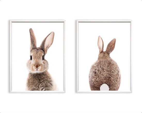 Poster Set 2 Lief konijntje voor en achterkant - billen / Jungle / Safari