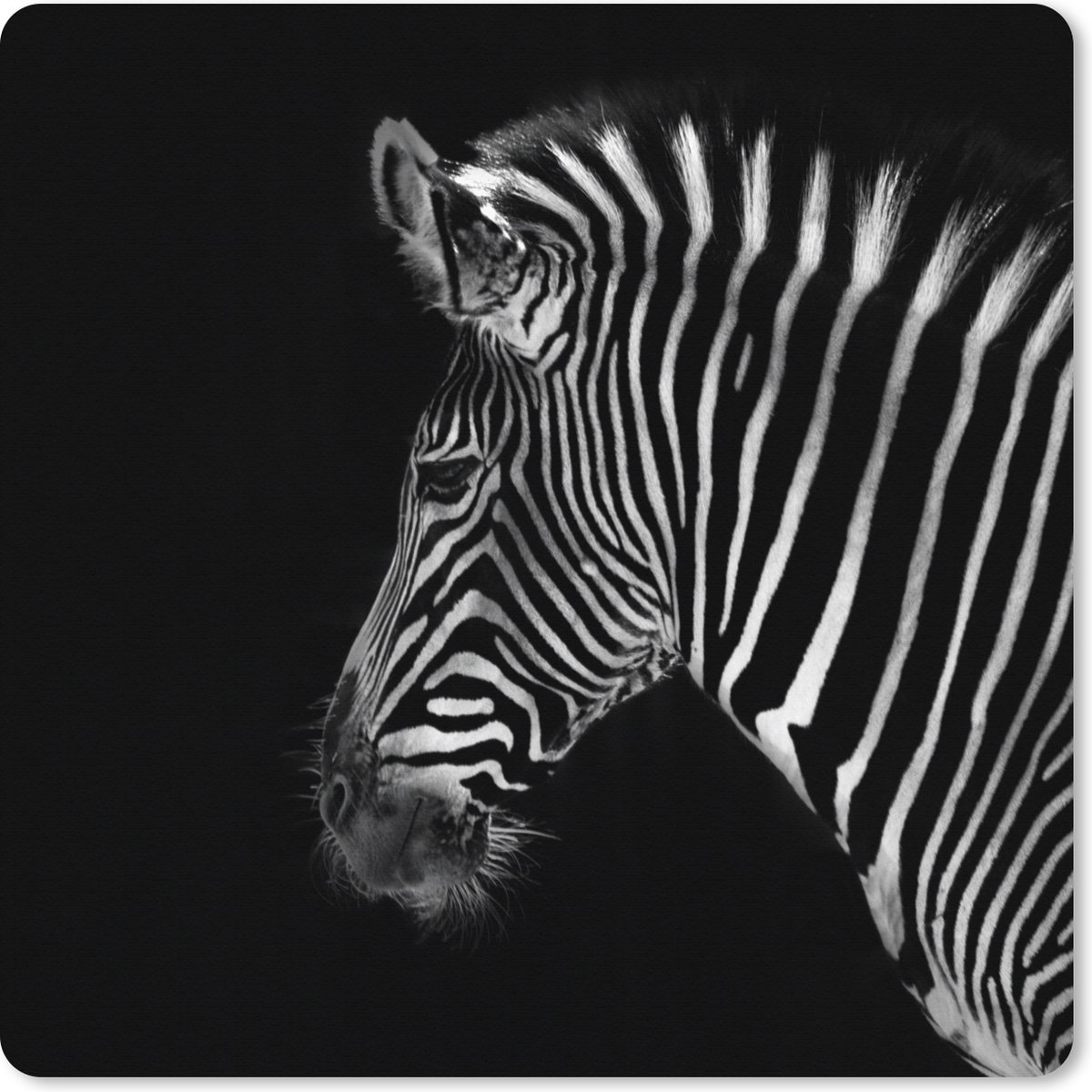 Muismat XXL 50x50 cm - Bureau onderlegger - Bureau mat Zebra - Wilde dieren - Zwart - Bureaumat - Gaming mousepad xl - Bureaulegger groot - Computer deskmat