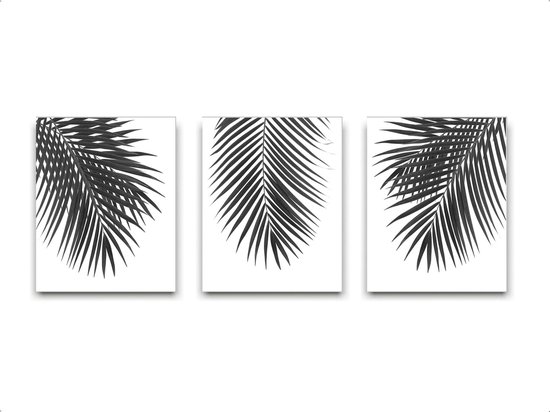 Schilderij  Set 3 Tropische palmboom bladeren - Zwart / Wit / Zwart / Wit / 50x40cm