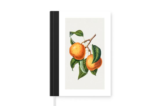 Carnet - Cahier d'écriture - Nourriture - Orange - Fruit - Carnet - Format A5 - Bloc-notes