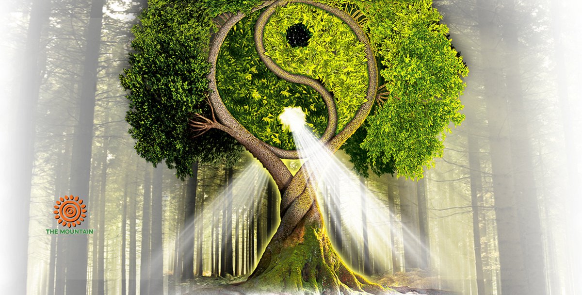Mok Yin Yang Tree 440 ml