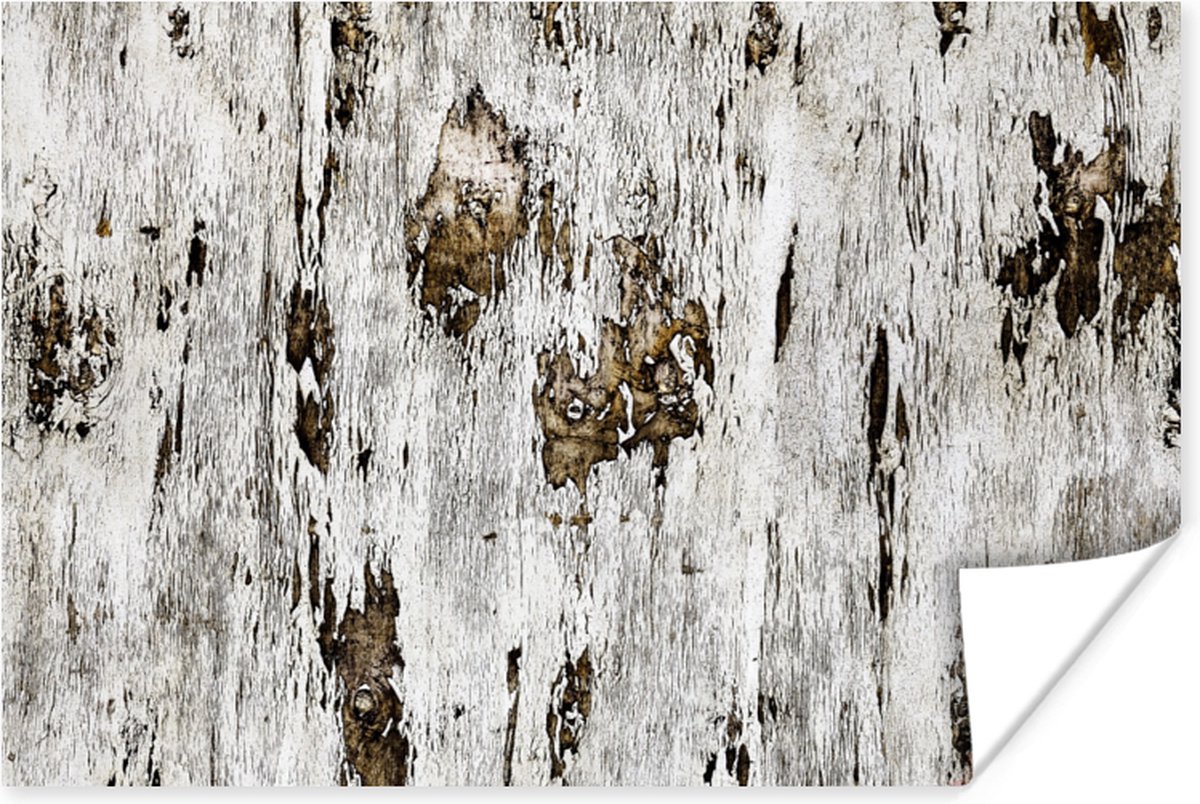 Poster Berk - Wit - Hout - 120x80 cm