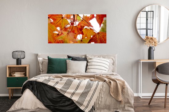 Affiche Branches d'Automne - Feuilles - Saisons - Rural - 120x60 cm