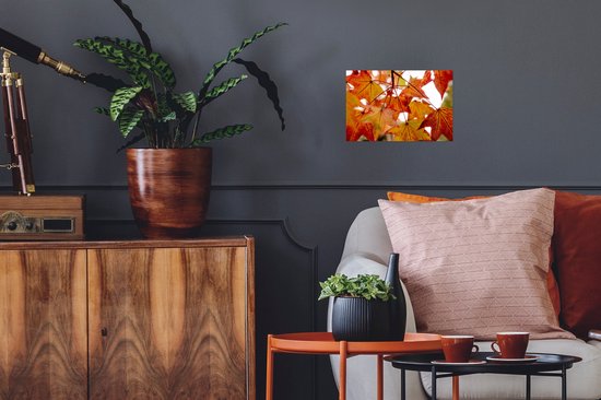 Affiche Branches d'Automne - Feuilles - Saisons - Rural - 30x20 cm