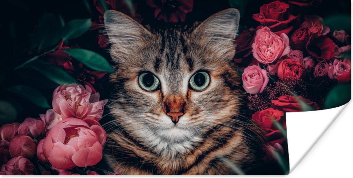 Poster Kat - Bloemen - Dieren - Botanisch - 150x75 cm