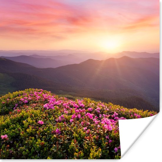 Poster Bloemen - Berg - Zonsondergang - Landschap - 50x50 cm