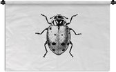 Wandkleed - Wanddoek - Vintage - Lieveheersbeestje - Insecten - Zwart wit - 180x120 cm - Wandtapijt