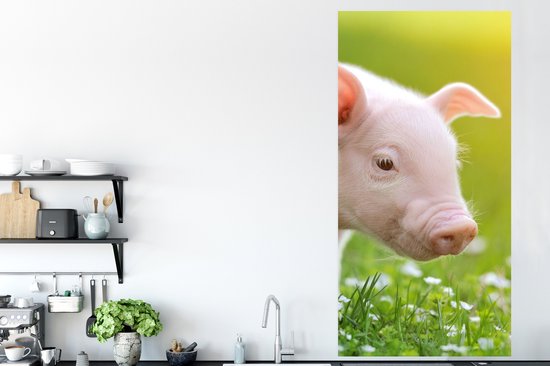 Affiche Animaux - Porcelet - Cochon - 75x150 cm