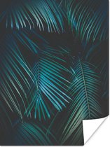 Poster Palm - Palmboom - Tropisch - 30x40 cm