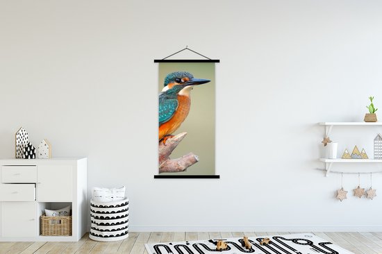 Porte-affiche avec affiche - Affiche scolaire - Vogel - Martin-pêcheur - Branche - 90x180 cm - Lattes noires