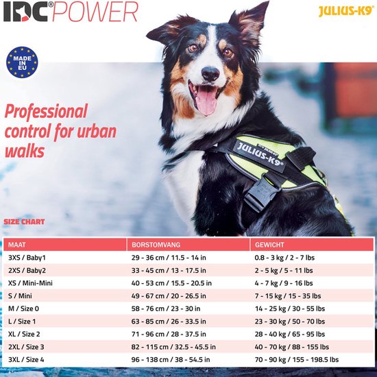 Border Collie met paars Julius-K9 IDC®Powertuig met 'Maattabel' en 'Professional control for urban walks' tekst.