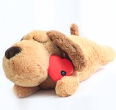 Knuffel – Hartslag – Heartbeat - Moederhond – Puppy – Puppie – Hond