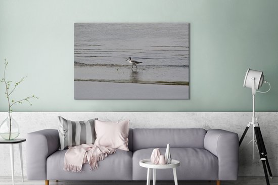 Cavalier de l'étang à la recherche de nourriture dans l'eau Toile 120x80 cm - Tirage photo sur toile (Décoration murale salon / chambre)