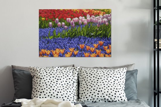Tulipes et jacinthes colorées dans le Keukenhof en Holland méridionale 60x40 cm - Tirage photo sur toile (Décoration murale salon / chambre) / Peintures Fleurs sur toile