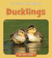 So Cute! Baby Animals - Ducklings