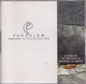 Michael W Smith Tribute Album: Paradigm-Ambient Hits Col