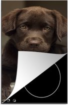 KitchenYeah® Inductie beschermer 30x52 cm - Schattige Labrador Retriever die in de camera kijkt - Kookplaataccessoires - Afdekplaat voor kookplaat - Inductiebeschermer - Inductiemat - Inductieplaat mat