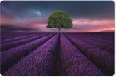 Muismat XXL - Bureau onderlegger - Bureau mat - Lavendel - Boom - Paars - 90x60 cm - XXL muismat