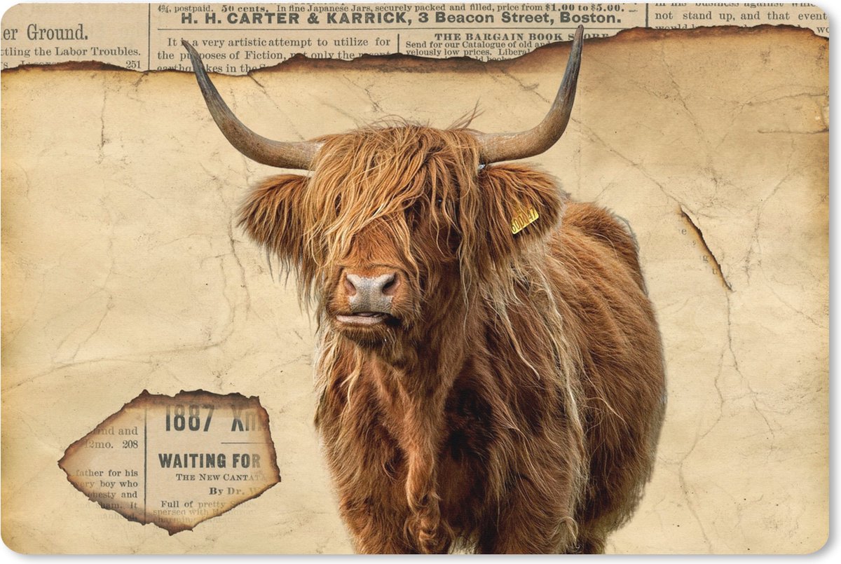 Muismat XXL 120x80 cm - Bureau onderlegger - Bureau mat Schotse hooglander - Vintage - Koe - Bureaumat - Gaming mousepad xl - Bureaulegger groot - Computer deskmat