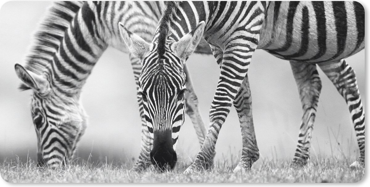 Muismat XXL 80x40 cm - Bureau onderlegger - Bureau mat Grazende zebra's - Bureaumat - Gaming mousepad xl - Bureaulegger groot - Computer deskmat