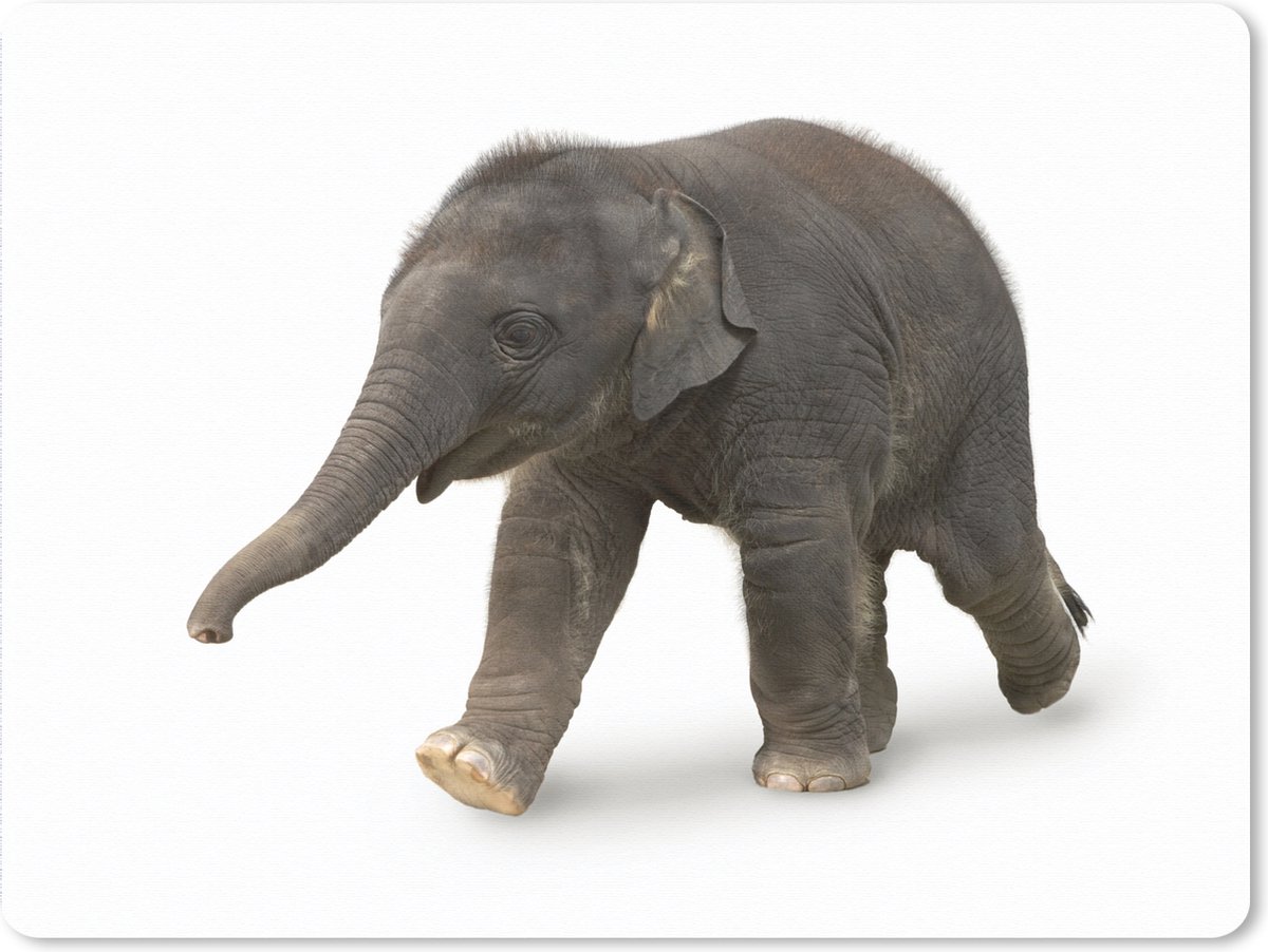 Muismat XXL 80x60 cm - Bureau onderlegger - Bureau mat Kleine olifant tegen witte achtergrond - Bureaumat - Gaming mousepad xl - Bureaulegger groot - Computer deskmat