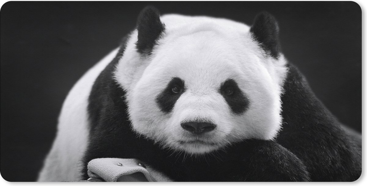 Muismat XXL 120x60 cm - Bureau onderlegger - Bureau mat Panda - Zwart - Wit - Bureaumat - Gaming mousepad xl - Bureaulegger groot - Computer deskmat