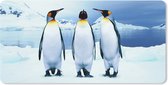 Muismat XXL - Bureau onderlegger - Bureau mat - Drie pinguïns portret - 100x50 cm - XXL muismat