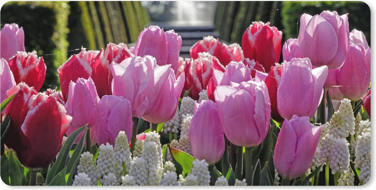 Muismat XXL 100x50 cm - Bureau onderlegger - Bureau mat Tulpen voor een fontein in de Keukenhof in Nederland - Bureaumat - Gaming mousepad xl - Bureaulegger groot - Computer deskmat