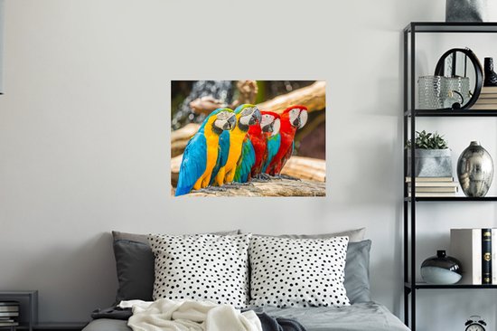 Stickers muraux - Vogels - Perroquet - Tropical - Nature - 80x60 cm - Feuille adhésive
