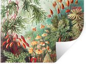 Muurstickers - Sticker Folie - Bloemen - Kunst - Vintage - Natuur - Botanisch - 40x30 cm - Plakfolie - Muurstickers Kinderkamer - Zelfklevend Behang - Zelfklevend behangpapier - Stickerfolie