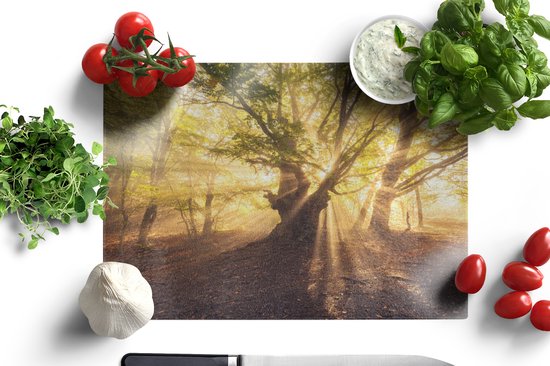 Planche à découper en Verres - 39x28 - Arbre - Forêt - Soleil - Planches à découper en Glas