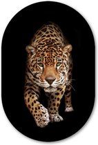 Muurovaal Panter - WallCatcher | Acrylglas 80x120 cm | Ovalen schilderij | Wandovaal Wild Panther
