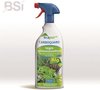 BSI - Ecopur Carboguard Moestuin Fungicide - Tegen Schimmelziekten - Kan in biologische landbouw worden toegepast - Voor de bestrijding van schimmels op fruit en groenten - 750 ml