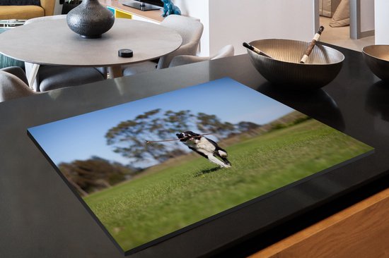 KitchenYeah® Inductie beschermer 81x52 cm - Een border collie met een stok in de mond - Kookplaataccessoires - Afdekplaat voor kookplaat - Inductiebeschermer - Inductiemat - Inductieplaat mat