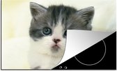 KitchenYeah® Inductie beschermer 81x52 cm - Schattige grijs met witte Exotic kitten - Kookplaataccessoires - Afdekplaat voor kookplaat - Inductiebeschermer - Inductiemat - Inductieplaat mat