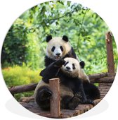 WallCircle - Wandcirkel ⌀ 90 - Panda - Brug - Natuur - Ronde schilderijen woonkamer - Wandbord rond - Muurdecoratie cirkel - Kamer decoratie binnen - Wanddecoratie muurcirkel - Woonaccessoires