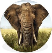Cercle mural - Cercle mural - ⌀ 60 cm - Plastique - Éléphant - Herbe - Champ