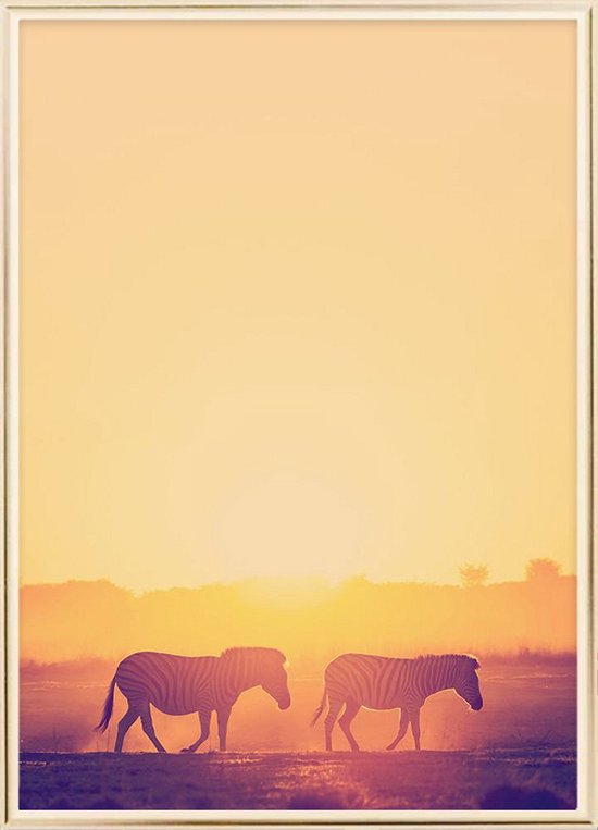 Poster Met Metaal Gouden Lijst - Zebra Zonsondergang Poster