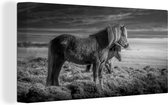 Canvas Schilderij Twee IJslander paarden bij zonsondergang - zwart wit - 40x20 cm - Wanddecoratie