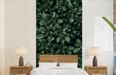 Papier Peint - Papiers Papier peint photo Feuilles - Plantes - Nature - Largeur 120 cm x Hauteur 240 cm