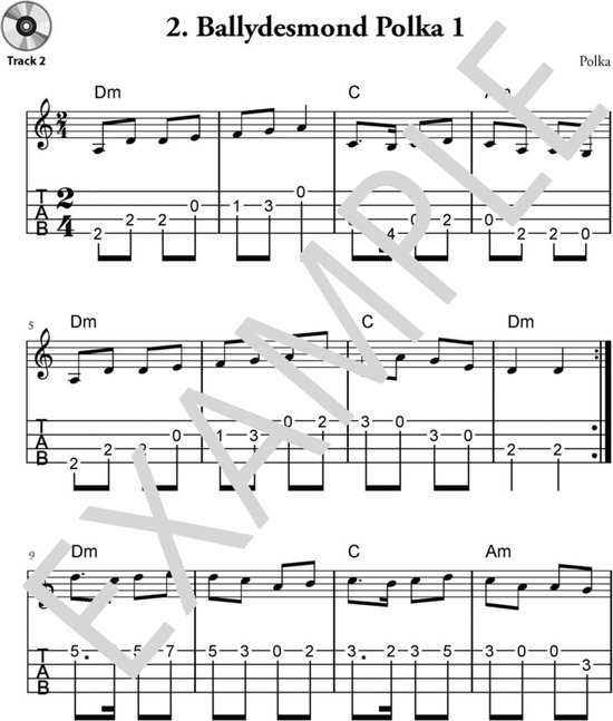 Muziekblad met "2. Ballydesmond Polka 1" en tabulatuur.
